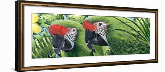 Military Macaws-Durwood Coffey-Framed Giclee Print