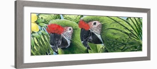 Military Macaws-Durwood Coffey-Framed Giclee Print