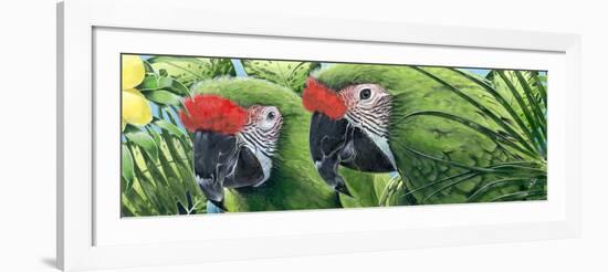 Military Macaws-Durwood Coffey-Framed Giclee Print