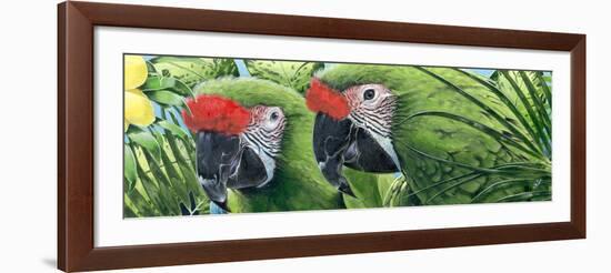 Military Macaws-Durwood Coffey-Framed Giclee Print