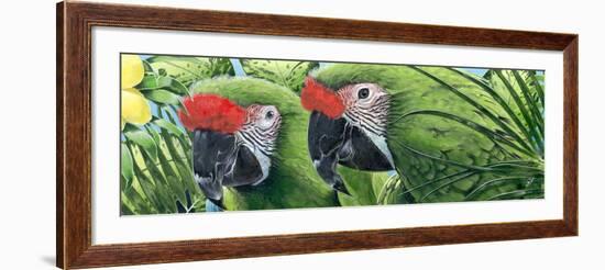 Military Macaws-Durwood Coffey-Framed Giclee Print