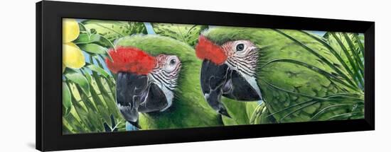 Military Macaws-Durwood Coffey-Framed Giclee Print