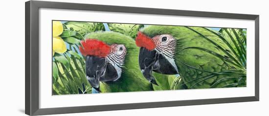 Military Macaws-Durwood Coffey-Framed Giclee Print