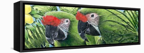 Military Macaws-Durwood Coffey-Framed Premier Image Canvas
