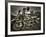 Military Police-Stephen Arens-Framed Photographic Print