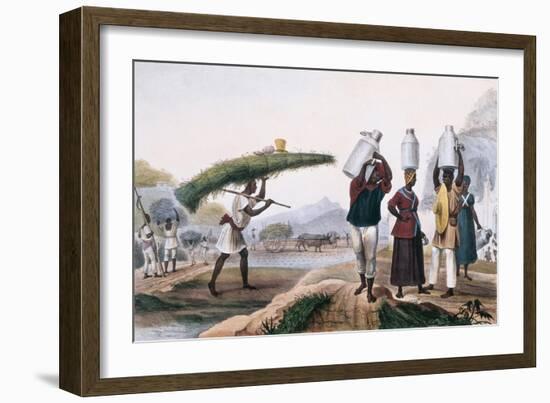 Milk and Capin Plant Sellers-Jean Baptiste Debret-Framed Art Print