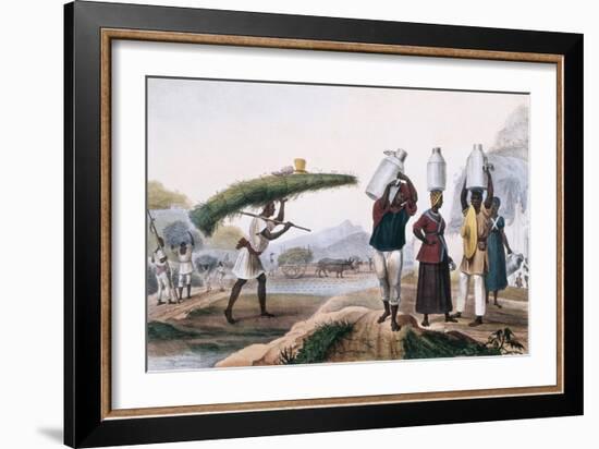 Milk and Capin Plant Sellers-Jean Baptiste Debret-Framed Art Print