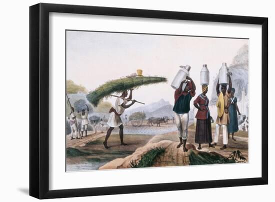 Milk and Capin Plant Sellers-Jean Baptiste Debret-Framed Art Print