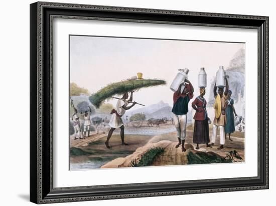 Milk and Capin Plant Sellers-Jean Baptiste Debret-Framed Art Print