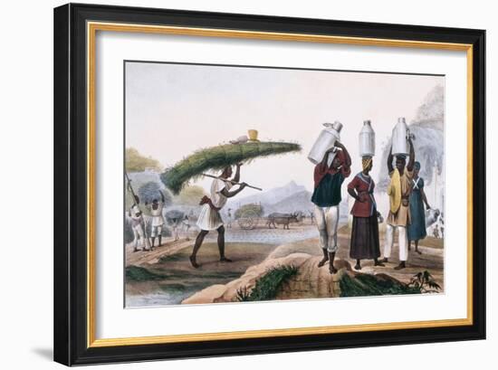 Milk and Capin Plant Sellers-Jean Baptiste Debret-Framed Art Print