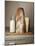 Milk Bottle, Bread and Cheese on a Wooden Cupboard-Joerg Lehmann-Mounted Photographic Print