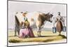 Milk, C1845-Benjamin Waterhouse Hawkins-Mounted Giclee Print