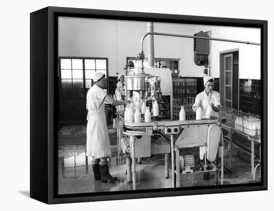 Milk Production, Zagreb, Yugoslavia, 1952-null-Framed Premier Image Canvas