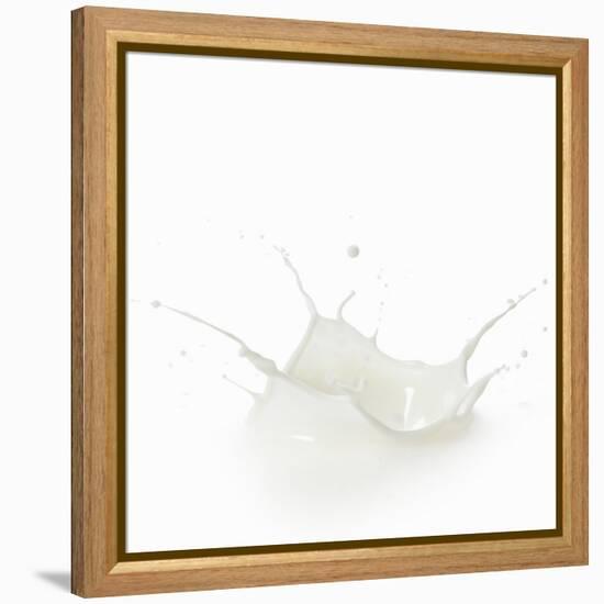 Milk Splash-Kröger and Gross-Framed Premier Image Canvas