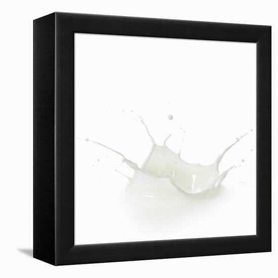 Milk Splash-Kröger and Gross-Framed Premier Image Canvas