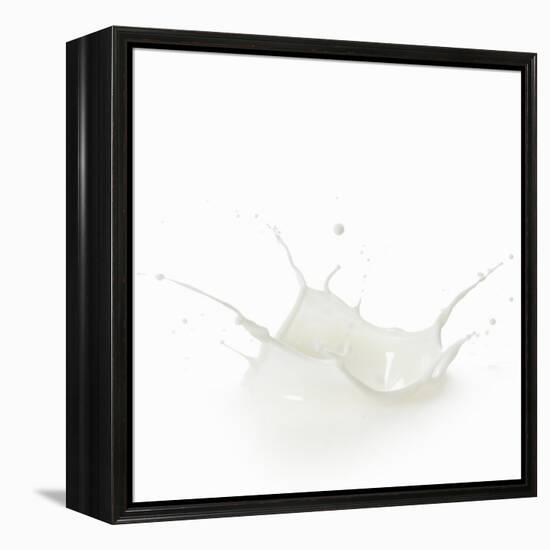 Milk Splash-Kröger and Gross-Framed Premier Image Canvas