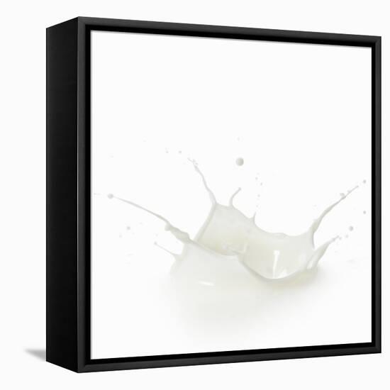 Milk Splash-Kröger and Gross-Framed Premier Image Canvas