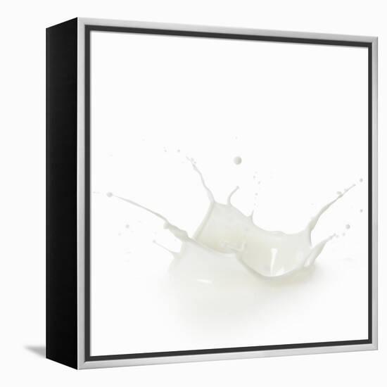 Milk Splash-Kröger and Gross-Framed Premier Image Canvas