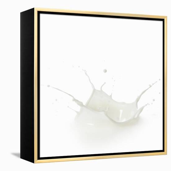 Milk Splash-Kröger and Gross-Framed Premier Image Canvas