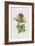 Milk Thistle (Chromolitho)-Frederick Edward Hulme-Framed Giclee Print