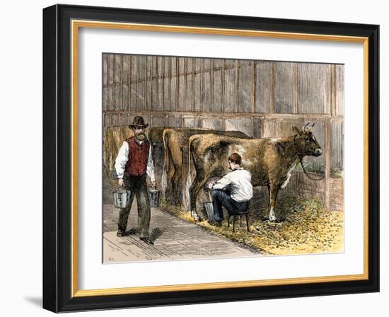 Milking-Time in a Dairy Barn, c.1870-null-Framed Giclee Print