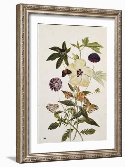 Milkweed, Poppy and Hibiscus with Butterflies and a Beetle-Thomas Robins Jr-Framed Giclee Print