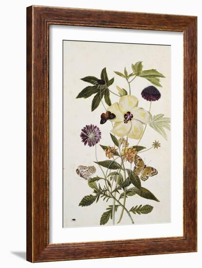 Milkweed, Poppy and Hibiscus with Butterflies and a Beetle-Thomas Robins Jr-Framed Giclee Print