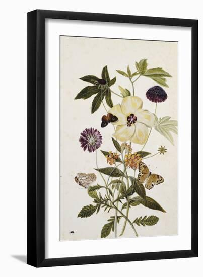 Milkweed, Poppy and Hibiscus with Butterflies and a Beetle-Thomas Robins Jr-Framed Giclee Print