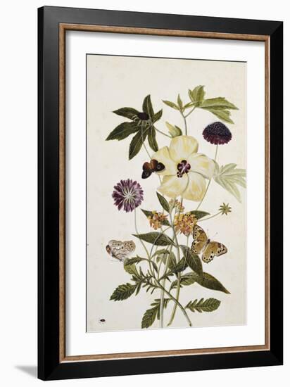 Milkweed, Poppy and Hibiscus with Butterflies and a Beetle-Thomas Robins Jr-Framed Giclee Print