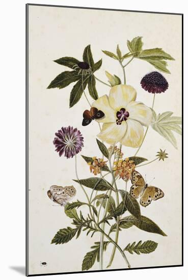 Milkweed, Poppy and Hibiscus with Butterflies and a Beetle-Thomas Robins Jr-Mounted Giclee Print