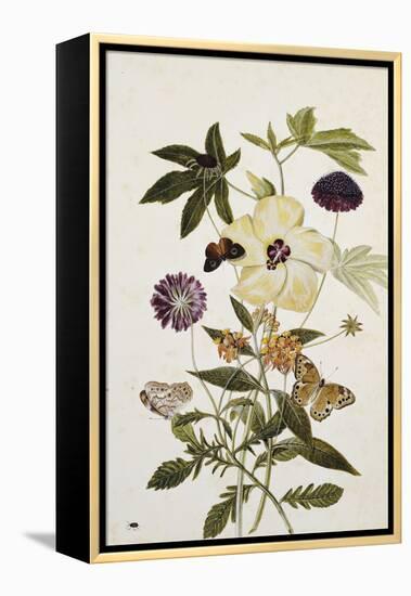 Milkweed, Poppy and Hibiscus with Butterflies and a Beetle-Thomas Robins Jr-Framed Premier Image Canvas