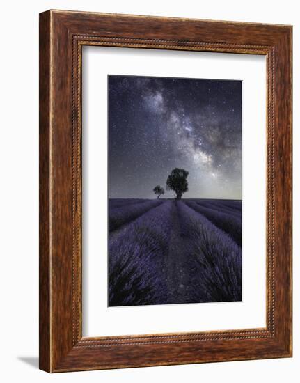 Milky way above a lavender field and two small trees on the Plateau de Valensole, Provence, France-Francesco Fanti-Framed Photographic Print