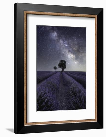 Milky way above a lavender field and two small trees on the Plateau de Valensole, Provence, France-Francesco Fanti-Framed Photographic Print