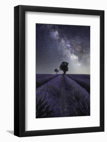 Milky way above a lavender field and two small trees on the Plateau de Valensole, Provence, France-Francesco Fanti-Framed Photographic Print