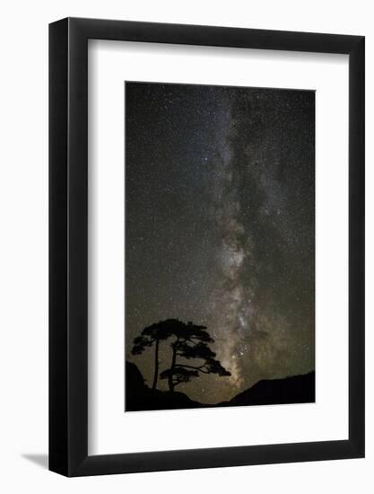 Milky Way and silhouetted tree, Ouray, Colorado-Adam Jones-Framed Photographic Print