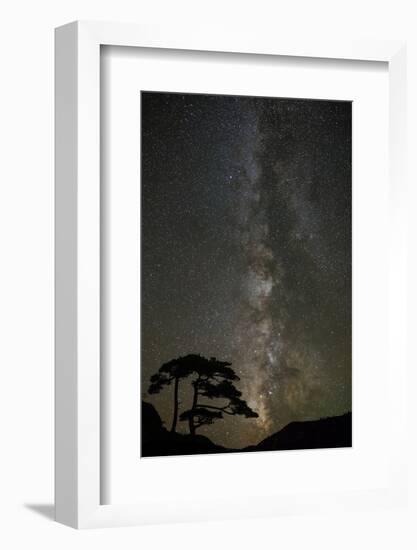 Milky Way and silhouetted tree, Ouray, Colorado-Adam Jones-Framed Photographic Print
