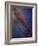 Milky Way Galaxy-Stocktrek Images-Framed Photographic Print