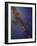 Milky Way Galaxy-Stocktrek Images-Framed Photographic Print