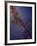 Milky Way Galaxy-Stocktrek Images-Framed Photographic Print