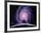 Milky Way Galaxy-Joe Tucciarone-Framed Photographic Print