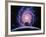 Milky Way Galaxy-Joe Tucciarone-Framed Photographic Print