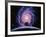 Milky Way Galaxy-Joe Tucciarone-Framed Photographic Print