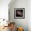 Milky Way II-Douglas Taylor-Framed Photo displayed on a wall