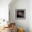 Milky Way II-Douglas Taylor-Framed Photographic Print displayed on a wall