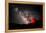 Milky Way III-Douglas Taylor-Framed Stretched Canvas