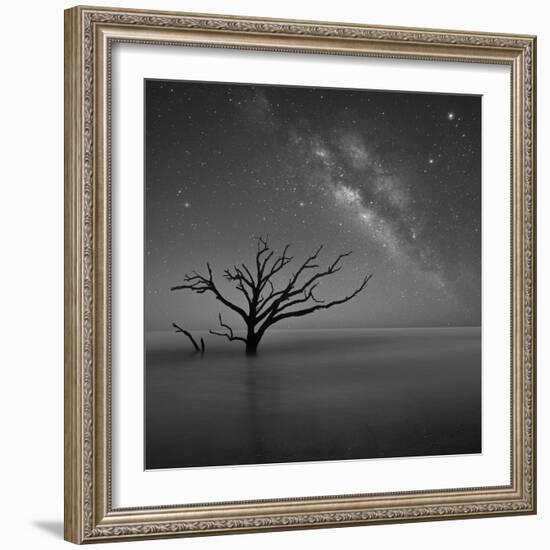 Milky Way in Botany Bay-Moises Levy-Framed Photographic Print