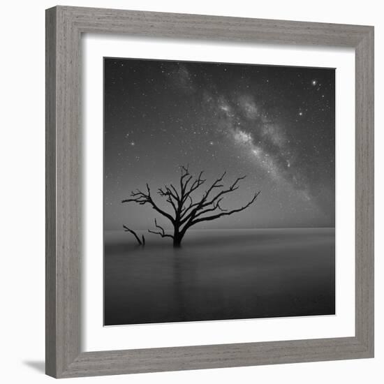 Milky Way in Botany Bay-Moises Levy-Framed Photographic Print