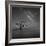 Milky Way in Botany Bay-Moises Levy-Framed Photographic Print