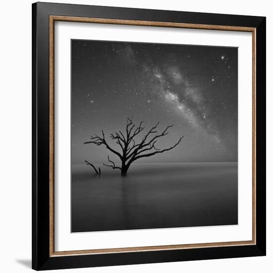 Milky Way in Botany Bay-Moises Levy-Framed Photographic Print