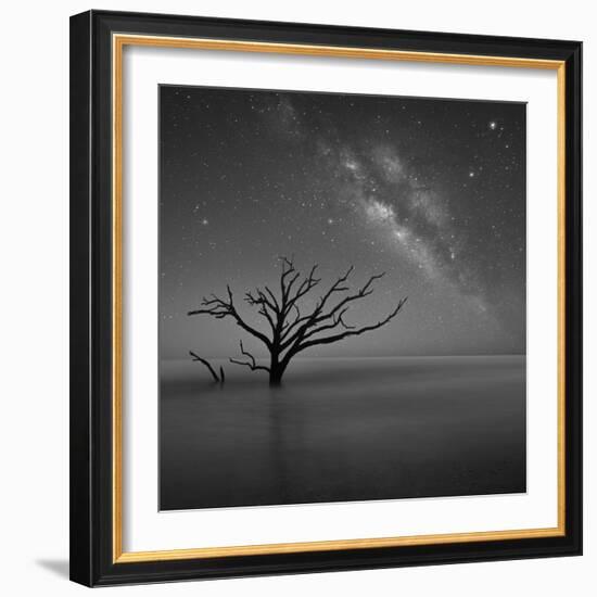 Milky Way in Botany Bay-Moises Levy-Framed Photographic Print